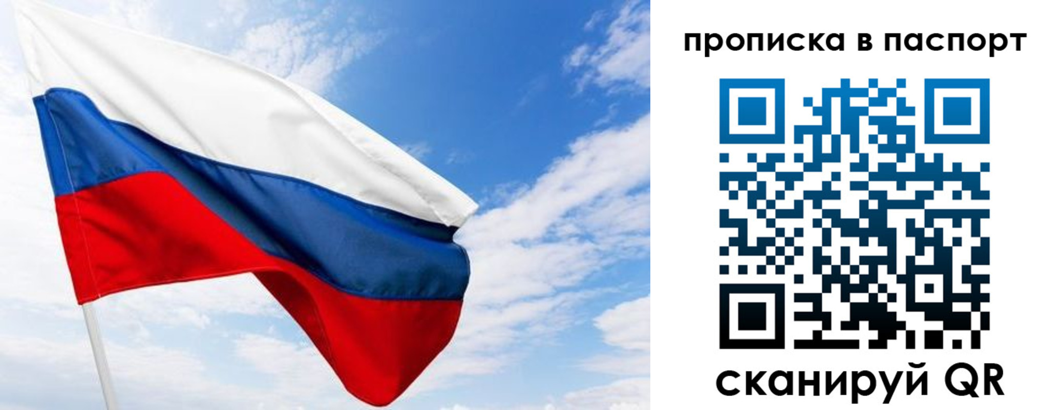 прописка поиск в Палласовке