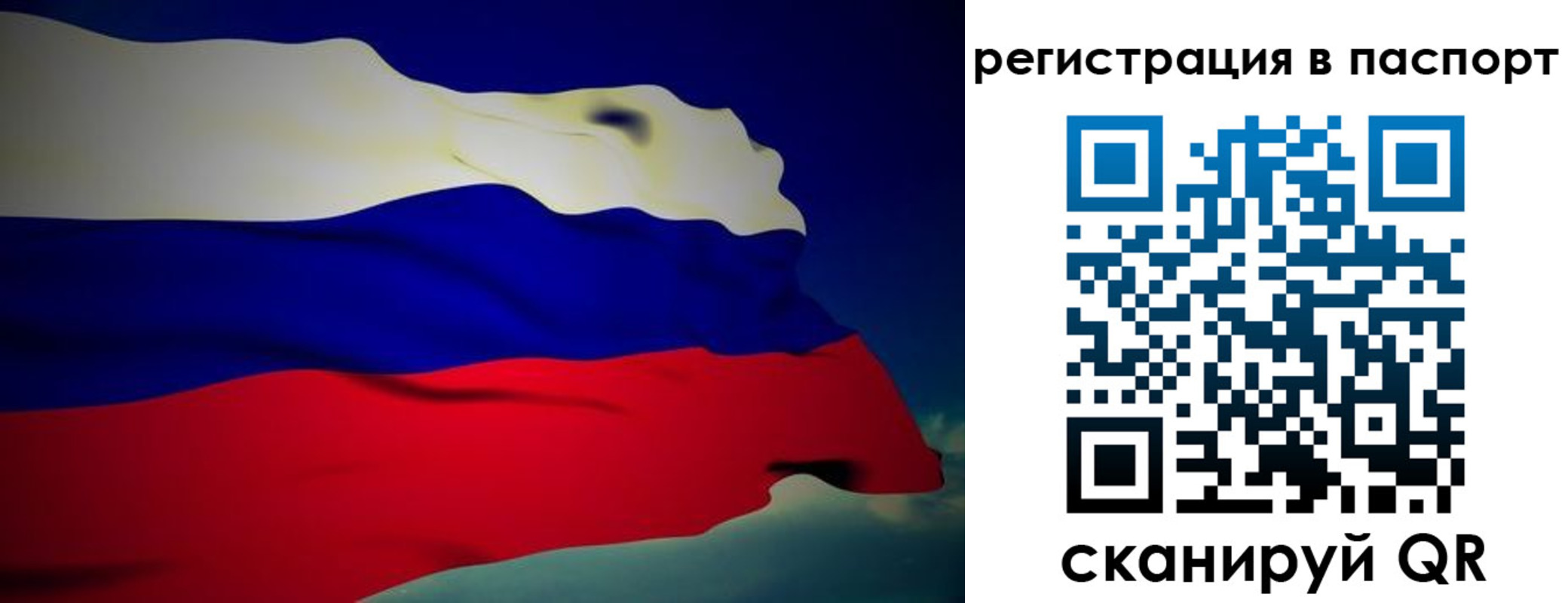 временная регистрация 2025 в Палласовке